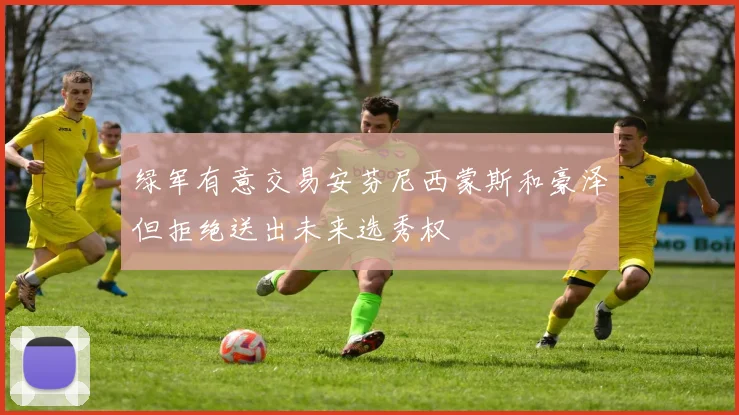 绿军有意交易安芬尼西蒙斯和豪泽但拒绝送出未来选秀权