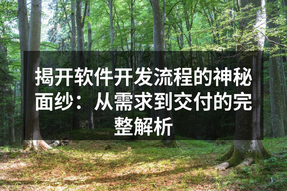 揭开软件开发流程的神秘面纱:从需求到交付