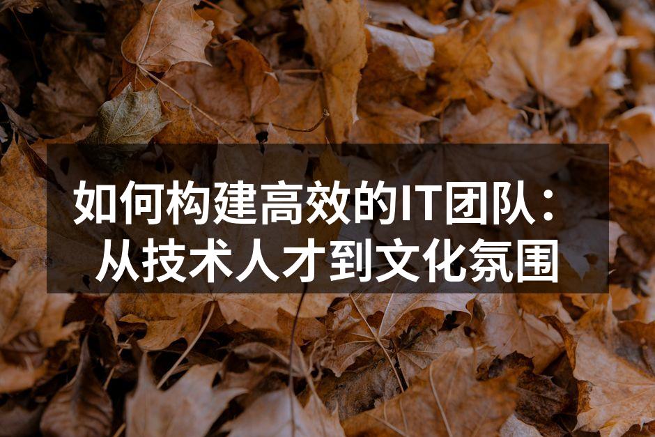如何构建高效的IT团队:从技术人才到文化